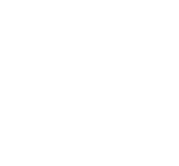 Vet Recommended