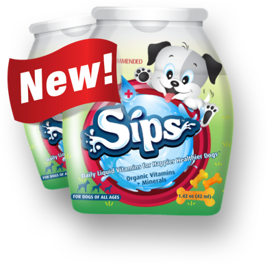Sippy Sips Bottles