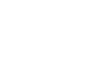 Beef Flavor